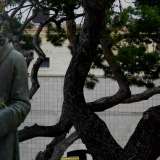 Particolare della statua di San Francesco negli omonimi giardinetti di Santo Spirito