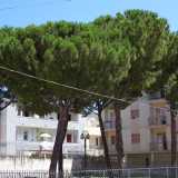 Il parco con i pini piantati nel 1966 a Noicattaro per ricordare che quel posto � stato il luogo di sepoltura degli appestati del 1815-1816