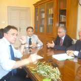Legge taglia ulivi a Roma