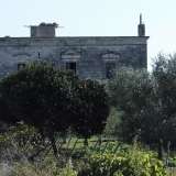 La masseria Torre dei cani