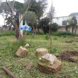 Resti di un vecchi gazebo e la caratteristica girandola spavantapasseri
