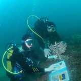 Uso del riconoscitore subacqueo
