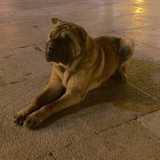 Giunta la sera Romeo si sposta a Bari Vecchia: qui � in piazza Mercantile 