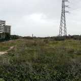 Una panoramica del parco