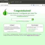 Benvenuto nella rete anonima Onion