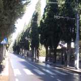 Tratto finale della linea - zona cimitero
