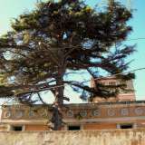 Della grandiosit� della villa e del giardino � rimasto ben poco, se non un maestoso ma malandato leccio libanese che si trova alle sue spalle
