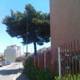 vista viale