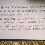 Una grafia che non presenta allungamenti n� in alto n� in basso, ed � la tipica scrittura delle nuove generazioni, che denota un attaccamento al presente e poco ascolto delle proprie emozioni