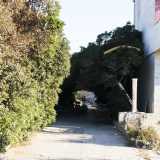 ... e un vialetto laterale coperto dalla vegetazione sulla sinistra 
