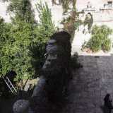 Il giardino visto dall'alto: le piante che possiamo ammirare sono soprattutto essenze di agrumi