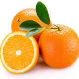 Persino l'arancia � un incrocio, tra pomelo (frutto di grosse dimensioni, leggermente pi� dolce ma simile nel gusto al pompelmo) e mandarino