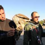 I falconieri Claudio Carella e Antonio Masciale che prima gestivano i rapaci nell'aeroporto di Bari Palese (Foto di Paola Sarappa - 2011)