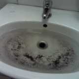 I bagni di Giurisprudenza e Scienze Politiche
