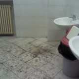 I bagni di Giurisprudenza e Scienze Politiche