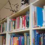 Alcuni scaffali colmi di libri all'interno della biblioteca. La struttura � attualmente gestita dall'Associazione cittadini e territorio