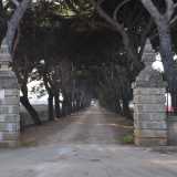 Dall�inizio del sentiero, delimitato da due colonne in pietra, la masseria non si riesce nemmeno a vedere per quanto � lontana dal cancello d�ingresso