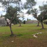 L�area si presenta molto curata, con un prato verde, alberi di ulivo e querce