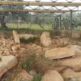 Il dolmen non � messo benissimo: ci sono solo i resti di ci� che dovevano essere le lastre laterali che affiorano dal terreno inghiottite da erbacce e arbusti. Manca la lastra di copertura