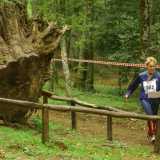Una signora, a passo contenuto, percorre il bosco alla ricerca delle lanterne