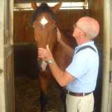 Luigi Vacca ed il suo cavallo Big Luciano che, pur essendo grande e grosso, ha paura delle galline