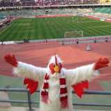 Un primo piano di Giuseppe: la sua presenza rallegra la curva Sud, quella che di solito accoglie il minor numero di tifosi