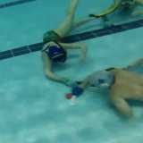 Ma un altro giocatore ruba il possesso del disco all'atleta lanciato in porta