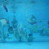 I ragazzi della Just Apnea posano per una foto in occasione delle feste natalizie