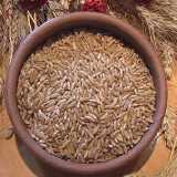Grano Kamut
