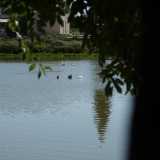 Per i delitti della masseria e del lago non fu condannato nessuno, d�altronde gli unici testimoni degli omicidi furono gli uccelli e le papere, che nonostante la fama di chiacchierone hanno tenuto il becco sempre ben chiuso