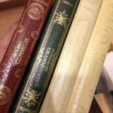 Libri nei cassonetti di via Melo