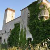 La parete est della masseria � ricoperta di rampicanti: si intravede per� una garrita pensile fra le foglie verdi