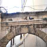 Su vico Corsioli un arco recita: �Probis et amicis se patebit bisichina domus�, cio� �La casa Bisichina sar� aperta ai giusti e agli amici�