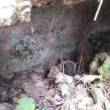 La grotta che ospita l'affresco di Santa Barbara, invasa dai detriti
