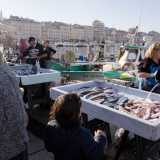 Tornandoci di giorno il vecchio porto regala il suo aspetto pi� caratteristico e verace: il mercato del pesce, appuntamento quotidiano animato da grida, colori e tanti avventori