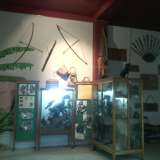 Sulla parete: frecce, archi e lance. Nelle teche sono conservati animali imbalsamati