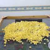 Bari vecchia, le orecchiette fatte in casa