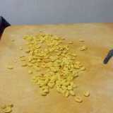 Bari vecchia, le orecchiette fatte in casa