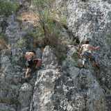 Arrampicata Sportiva in Outdoor (all'aperto)