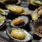 La patella, genere di mollusco gasteropodo che si fissa sul substrato roccioso cos� saldamente che per staccarlo bisogna usare un coltello