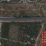 La vista satellitare del parco