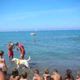 Due bagnini in spiaggia con un cane da salvataggio 
