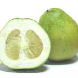 Il pomelo, un agrume non pi� molto diffuso, di grosse dimensioni, leggermente pi� dolce ma simile nel gusto al pompelmo