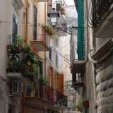 Barivecchia