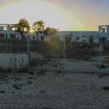 L'ingresso del Dog House, il parco canile di Sannicandro di Bari, situato sulla strada provinciale per Acquaviva delle Fonti