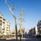 La parte vecchia del rione si apre alla sinistra della strada e il modo pi� facile per attraversarla � imboccare viale delle Regioni. �Regioni� perch� tutte le strade che si dipanano da questa arteria sono intitolate (anonimamente) a regioni e citt� italiane: da via Molise a via Umbria, da via Perugia a via Vicenza