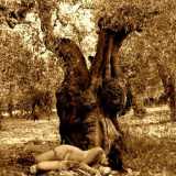 Alcuni scatti della fotografa Eliana Dabbicco