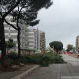 Strage di pini in Via Caldarola