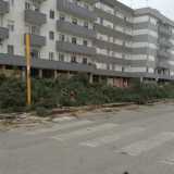 Strage di pini in Via Caldarola