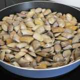 La tellina � un piccolo mollusco bivalve di forma triangolare 
